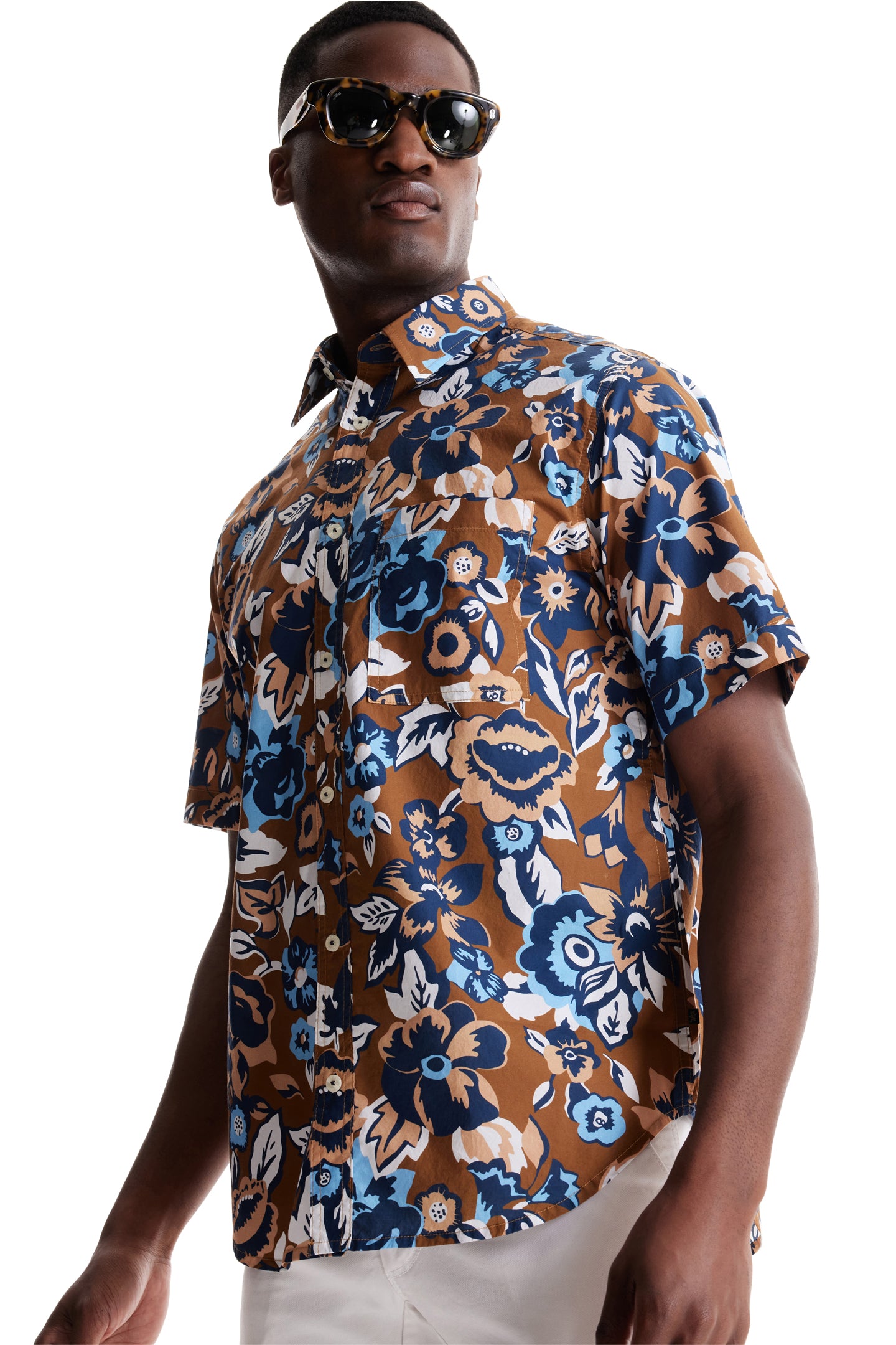 Bronze Aloha Pop Print